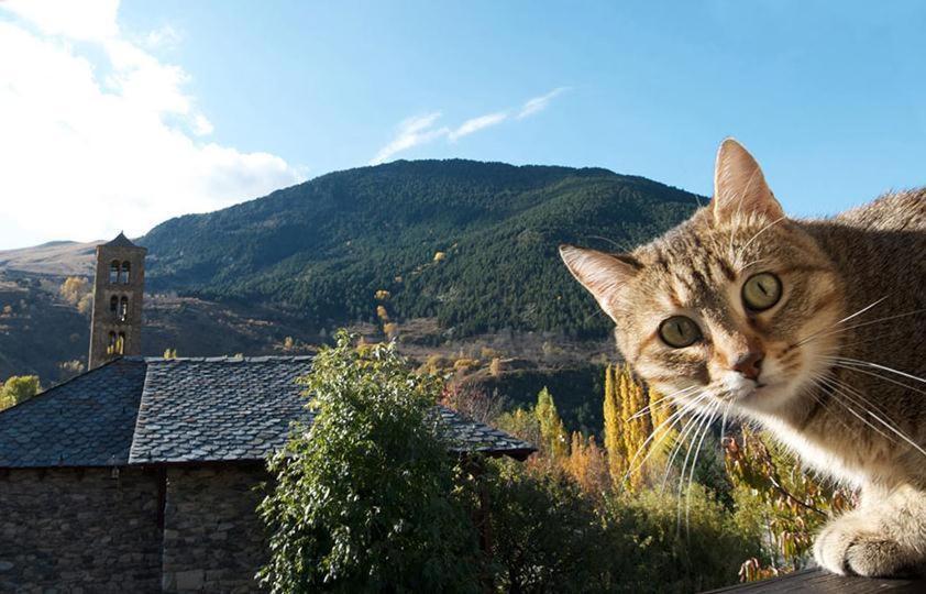 Casa Independiente Rural Ca De Corral Estación Екстериор снимка